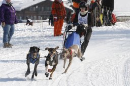 Lenk 2012 SM